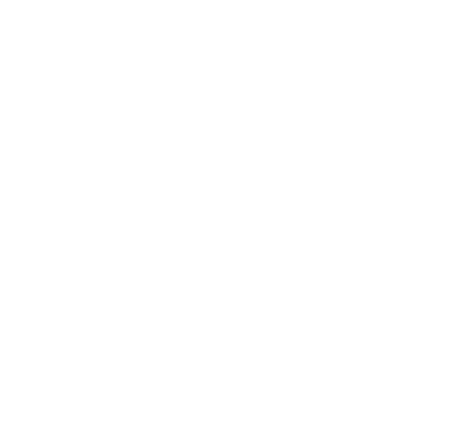 13-amini brand logo